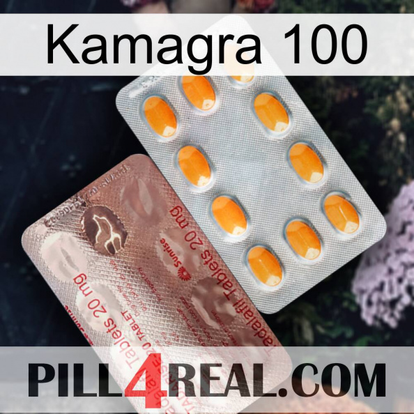 Kamagra 100 new13.jpg